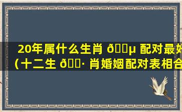 20年属什么生肖 🐵 配对最好（十二生 🕷 肖婚姻配对表相合相克）